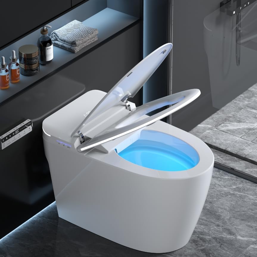 Loupusuo smart toilet review — unboxing what comes in the box showing the toilet bowl seat remote and accessories